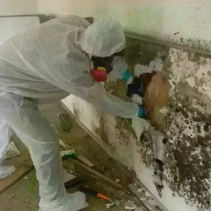 Mold Remediation and Removal in Heathcote, NJ